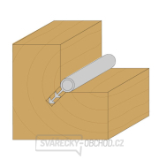 CMT C711 Fréza na okenní těsnění - D3x8 L76 S=6 HW Náhled