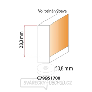 IGM F049 Velká falcovací fréza - H16 D50,8x28,3 L87 S=12,7 HW Náhled