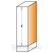 CMT C906 Ořezávací fréza, šikmé zuby pozitivně-negativní HW - D19x50,8 B19 S=12 Náhled